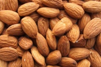 amandes_dcortiques