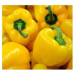 poivron_jaune2