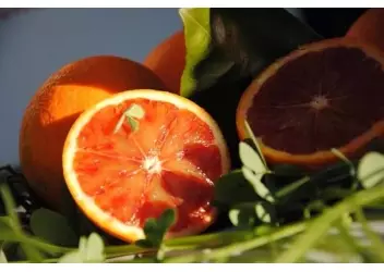 10978621_430257460467034_8683761662287759553_n