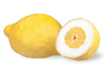 cedro
