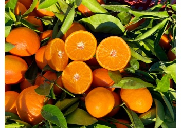Cagette de mandarines env. 6kg clementine_nova